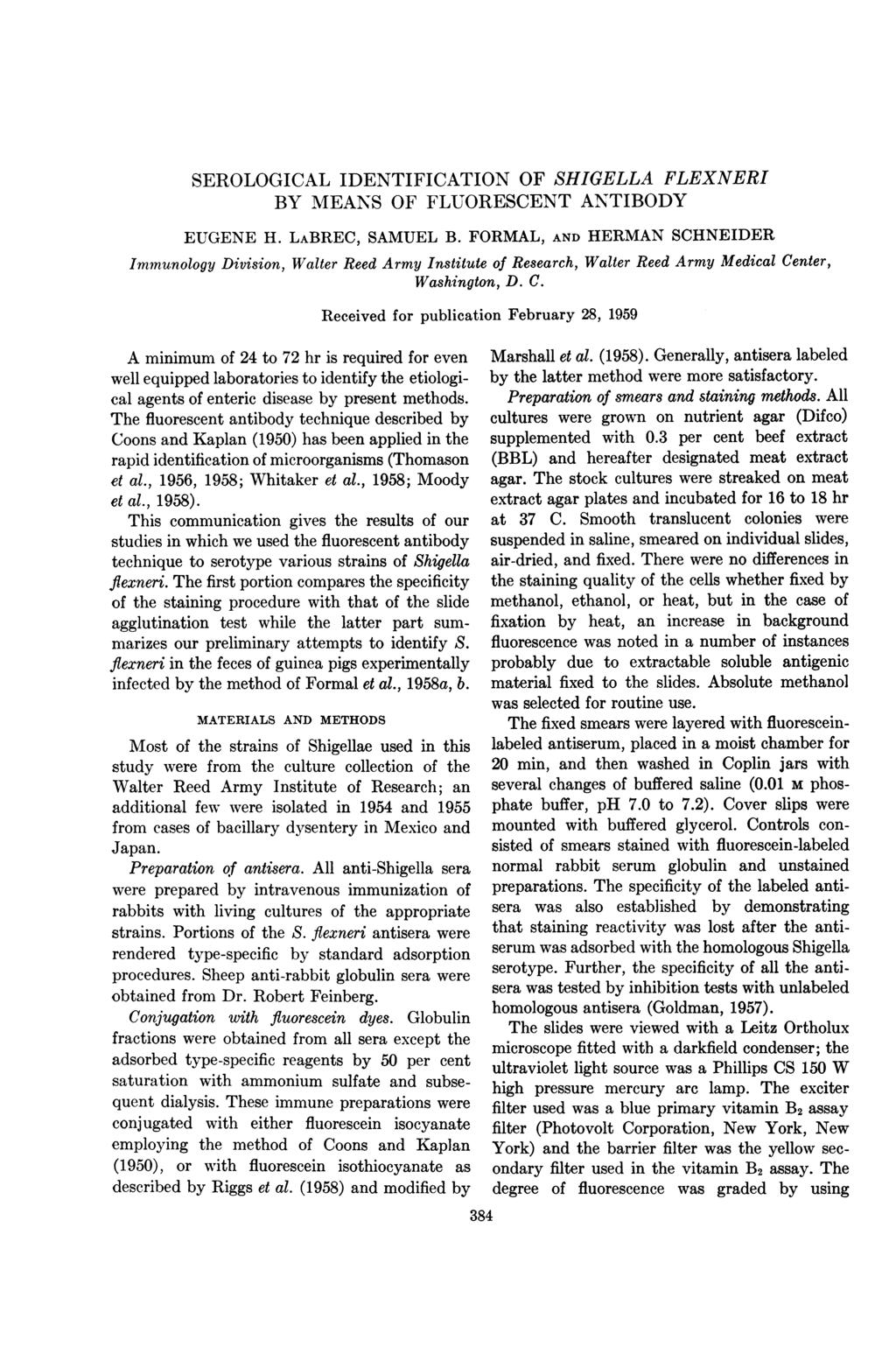 SEROLOGICAL IDENTIFICATION OF SHIGELLA FLEXNERI BY MEANS OF FLUORESCENT ANTIBODY EUGENE H. LABREC, SAMUEL B.