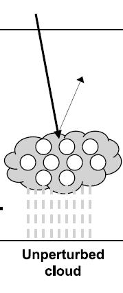 precipitation (A) cloud stores more liquid water, increasing