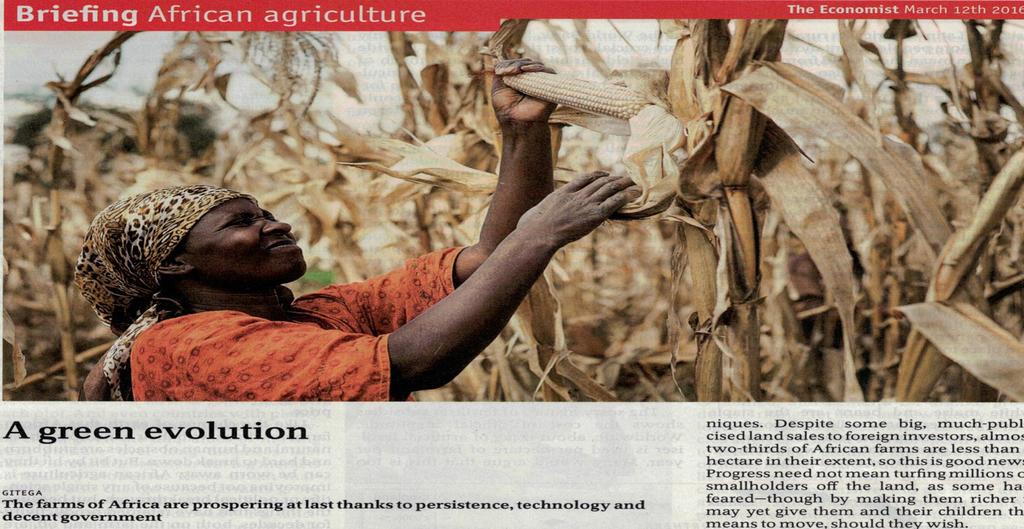 The Economist March 12, 2016 The farms of Africa are prospering