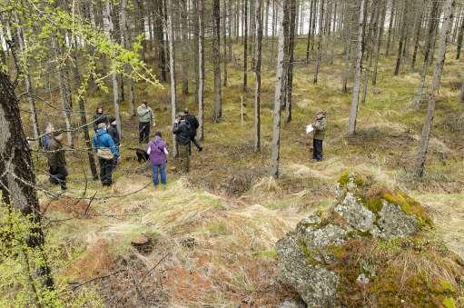 Case Study Iceland: Bioenergy and Forestry in Treeless land: Establishment of Viable Wood energy supply chain and Forestry Introduction What to do if you get lost in a forest in Iceland?