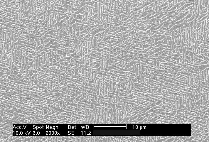 F29 Polycrystalline Microstructure - 1280ºC 4 hours