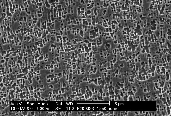 Figure 4 Microstructure of UM-F20 after 1250 hours at 800 C Figure 5 Microstructure of UM-F20 after 1100