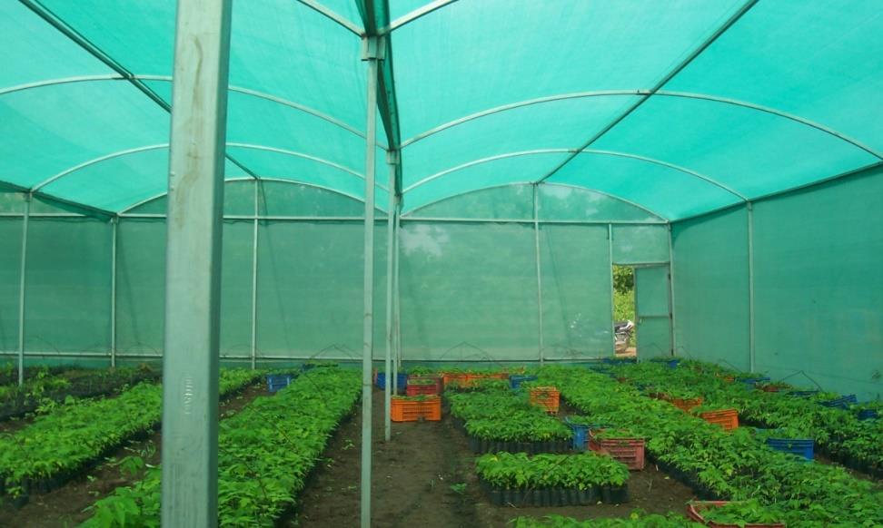 IS 16008 (Part 1):2016 Agro textiles - Shade nets for agriculture and horticulture purposes Part 1 Shade nets made from tape yarns Covers Agro shade nets manufactured from tape yarns for agriculture