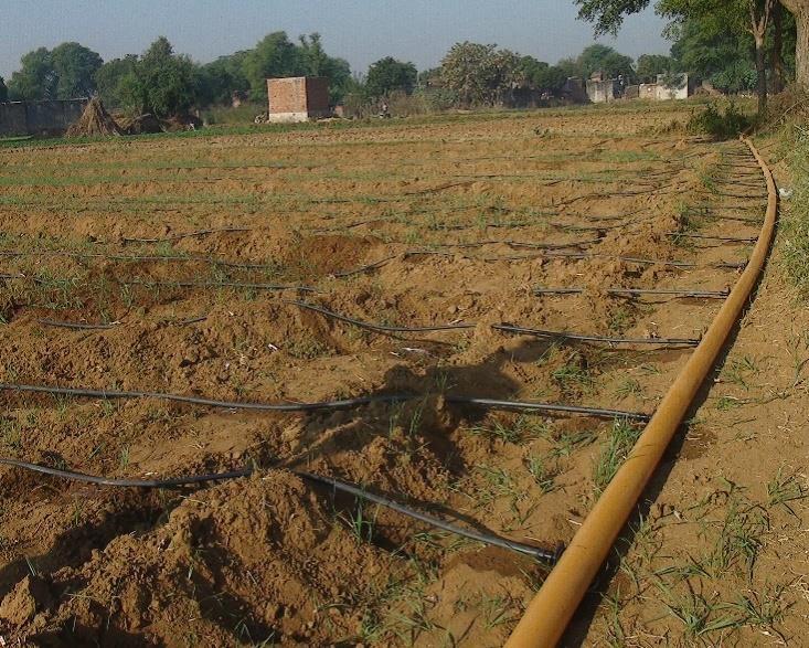 Suitable for farmers with low resources (having small land holding) Can be installed easily where land is