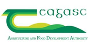 An Analysis of Abatement Potential of Greenhouse Gas Emissions in Irish Agriculture 2021-2030 Prepared by the Teagasc Greenhouse Gas Working Group Gary J. Lanigan & Trevor Donnellan (eds.