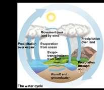 The hydrologic cycle Human impacts on the hydrologic cycle Damming rivers slows water and increases evaporation Removal of vegetation increases runoff and erosion while decreasing infiltration and