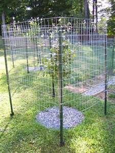 A fence that s purpose is to protect gardens and fruit trees from game, such as