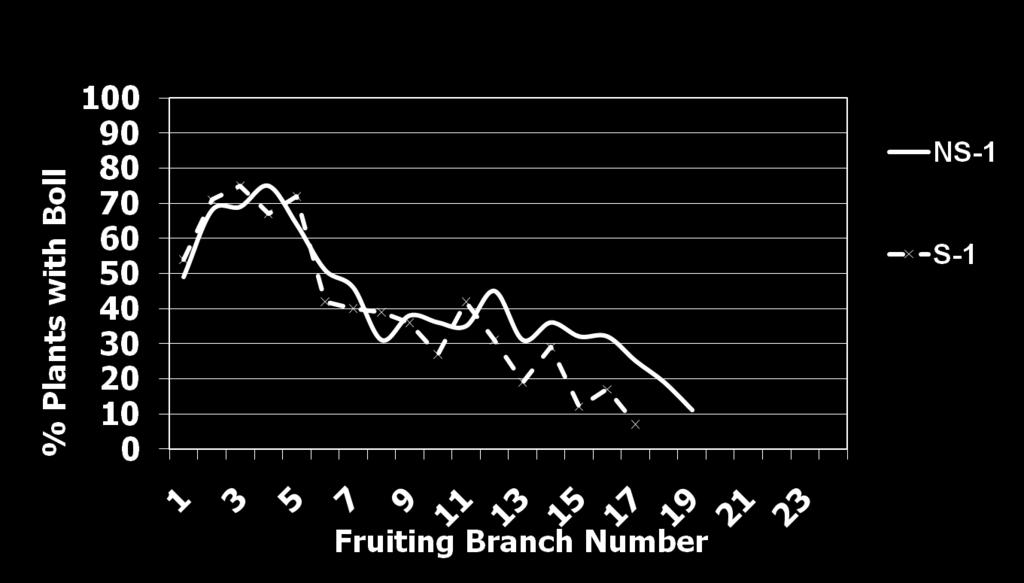 Fruit Retention (FP-1 POSITION) Pima as function of Irrigation Trt: NS (t1-100) versus T5(100/80/60) NS: