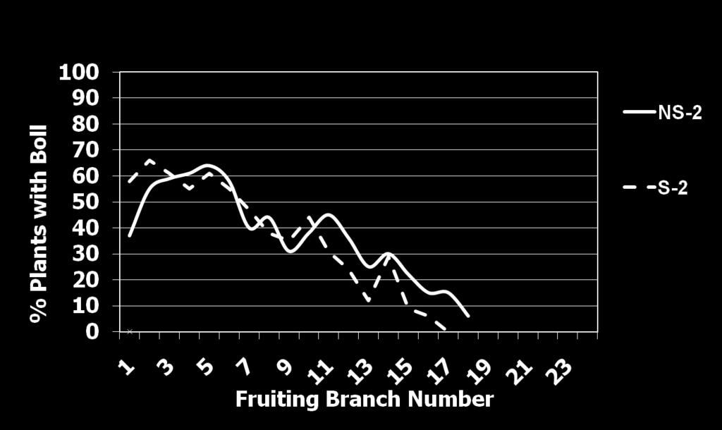 Fruit Retention (FP-2 POSITION) Pima as function of Irrigation Trt: NS (t1-100)