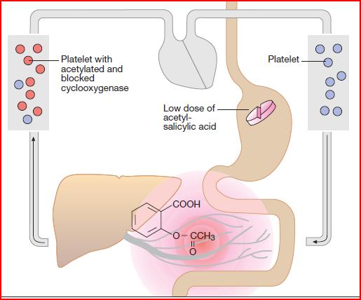 Presystemic inactivation of platelet