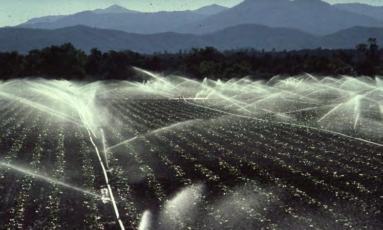 Sprinkler IrrigaJon Systems: How can