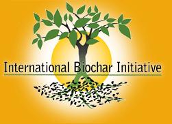 SURVEY OF BIOCHAR INDUSTRY (1/5) Growth in the Biochar Movement and Industry Updates Thayer Tomlinson, IBI Communications Director, February 2013 Survey at the initial stage