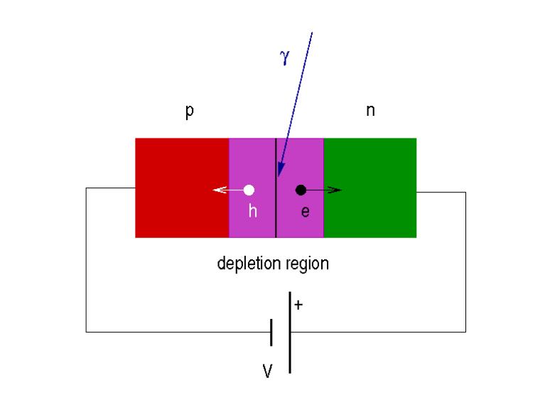 Point Detectors Gas-proportional Detectors X-ray photon e - Ar/Xe + Scintilator Detectors photon