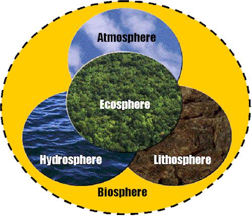 Biome a large geographic area with a similar climate Biosphere the region on Earth where life exists. It extends from the bottom of the ocean to the lower atmosphere.