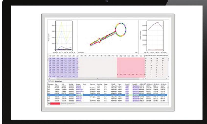 Genome Browser A feature-rich Genome Browser provides custom visualizations of the analysis results.