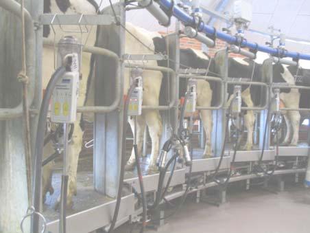 Milking equipment, types 550 herds AMS/VMS 800 herds tie up barns (app.