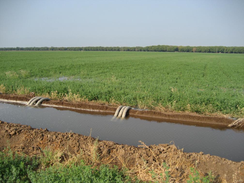 Border Strip Irrigation If correct flow rate, check
