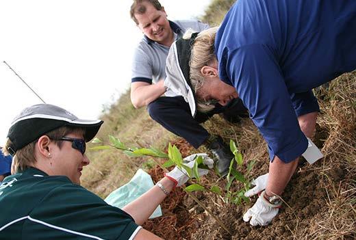 OUR ENVIRONMENTAL ACTIONS AND COMMITMENTS Continuously striving to increase awareness» Employee engagement activities include events and volunteering efforts.