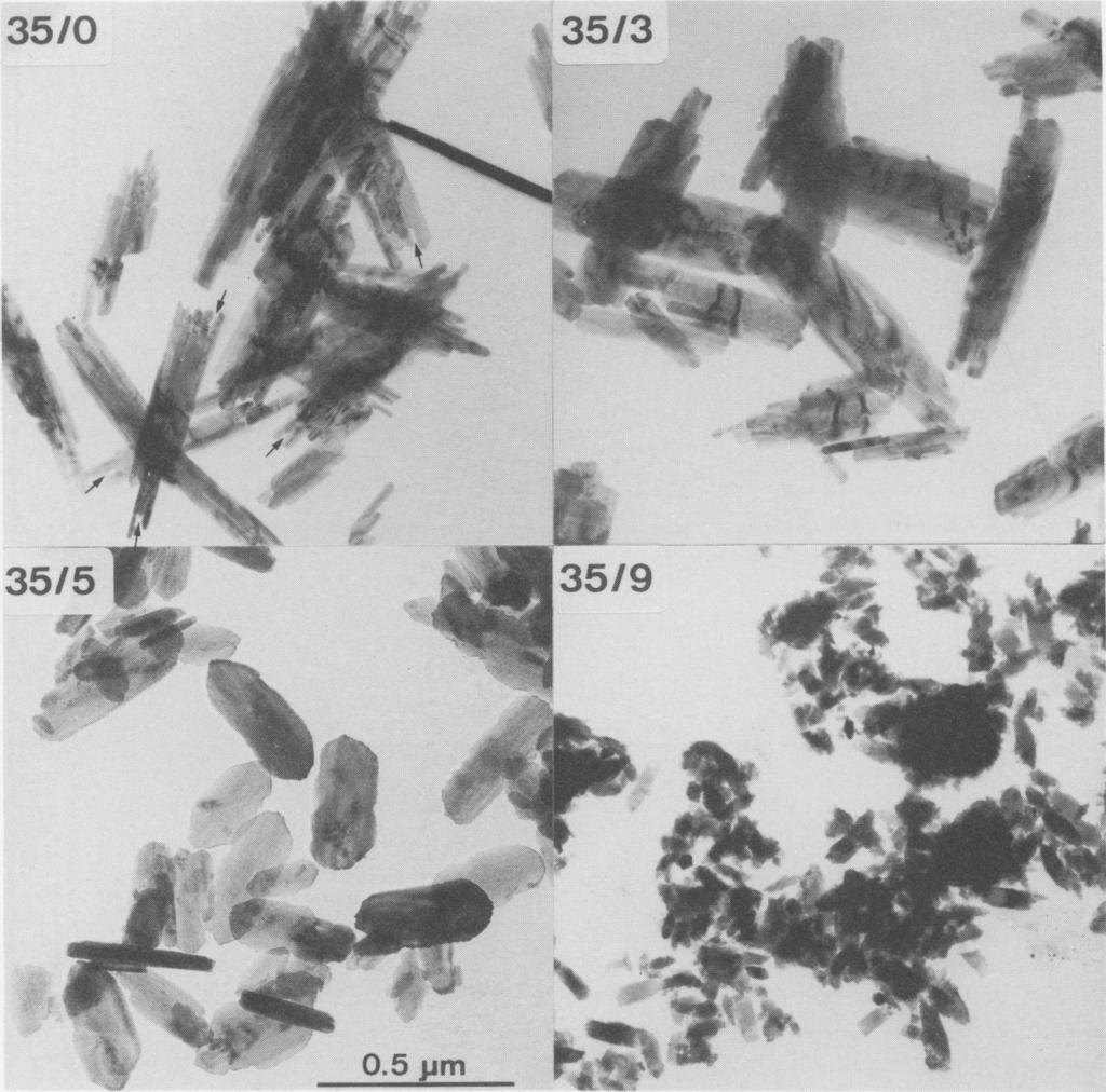 Properties of synthetic goethites 89 FG.4. Selected transmission electron micrographs for the 25~ goethites (Series 35). observable by EM.