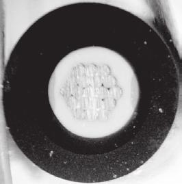 Tube after being heated to 125 C (Newly developed tube was free from positional displacement.) Fig. 11.