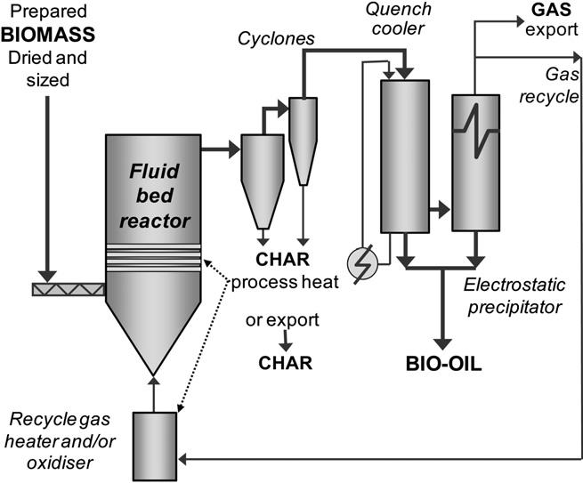 Fast pyrolysis process equipments Fluid bed