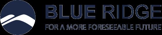 Supply Chain Planning / Blue Ridge Mantis is a global alliance of