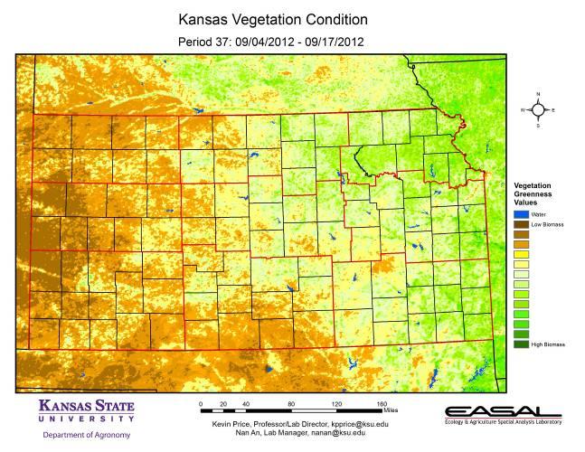 The maps in this issue of the newsletter show the current vegetation conditions in Kansas, the Corn Belt, and the continental U.S, with comments from Mary Knapp, state climatologist: Map 1.