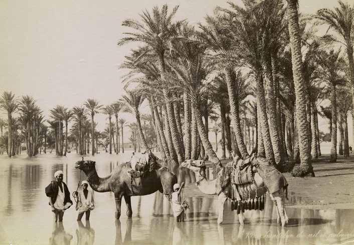 Floods in the Nile: A historical perspective Historically, flooding of the Nile was an annual event that was received with much celebration by those living in the downstream reaches of the river.