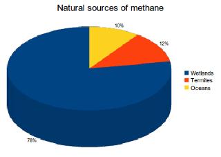 Natural Sources of Methane (CH 4 ) The main natural sources include wetlands, termites and the oceans.