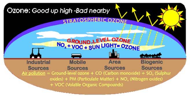 Natural Sources of Tropospheric Ozone (O 3 ) Gases, such as CO and CH 4, which are emitted by natural biological processes and human activities, can