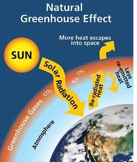 non-co 2 exchange Discussion Greenhouse gases: background Gases in the atmosphere that trap