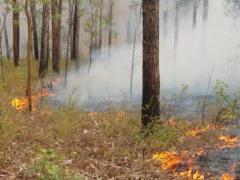 climate and fire interactions Reduce or increase
