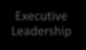 Quality-focused Management Executive Leadership Governance IT Services Business Line Management Division