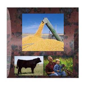 Mixed Crop and Livestock Farming Mixed crop and livestock farming is the most common form of commercial agriculture