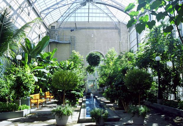 THE SANCTUARY APPROACH Gene Banks and Botanical Gardens Botanical gardens: Cultivates rare and endagered