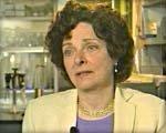 DR. HELEN BLAU, Stanford University School of Medicine: Adult stem cells, until recently, were thought to be tissue-specific.