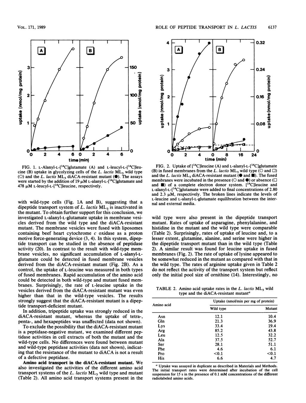 VOL. 171, 1989 ROL OF PPTID TRANSPORT IN L. LACTIS 6137 4 _ ' ' 0.32 3-0.24 L CL 0.0 2 00 c ~~~~~~~~~~0 2 4 0 8 16 20.16 0 J 0 2 4 6 0 2 4 6 time (min) FIG. 1. L-Alanyl-L-['4C]glutamate (A) and L-leucyl-L-[14C]leucine (B) uptake in glycolyzing cells of the L.