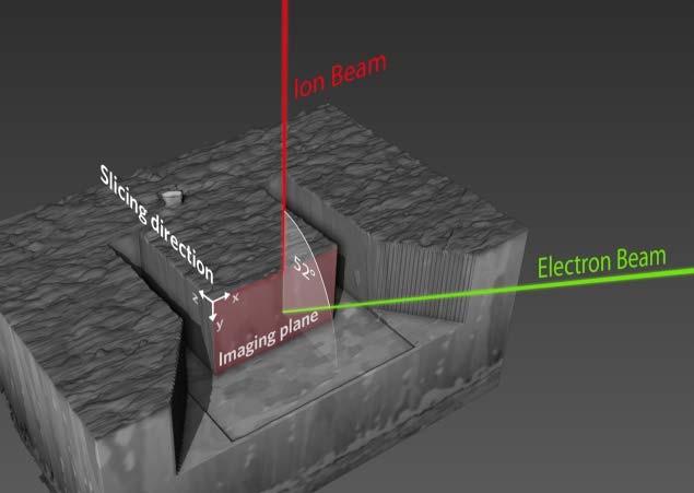 Functionalized Surfaces NNF Sub-surface characterization Dual-beam FIB/SEM (FEI Helios 660) The focused ion beam