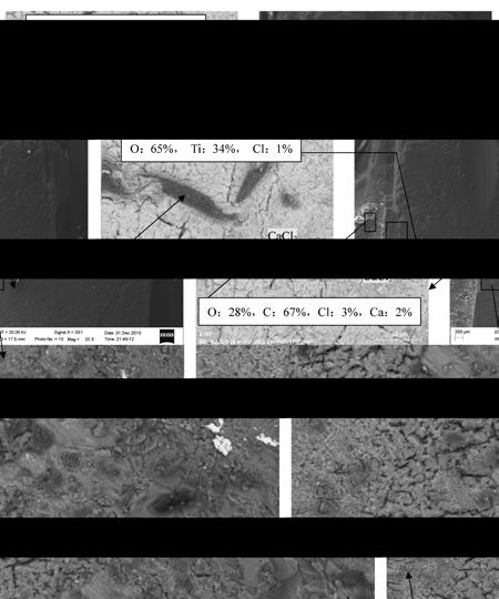 Fig. 4 is the SEM image of a vertical section of the cathode reacted for 7.6h. From Fig.