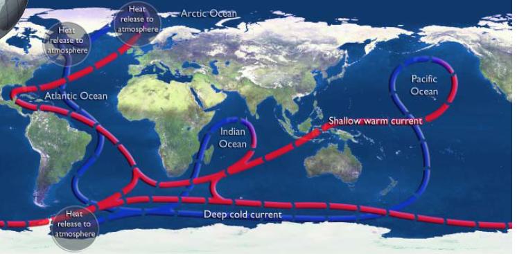 Interplay of ocean circulation and arctic/global climate The