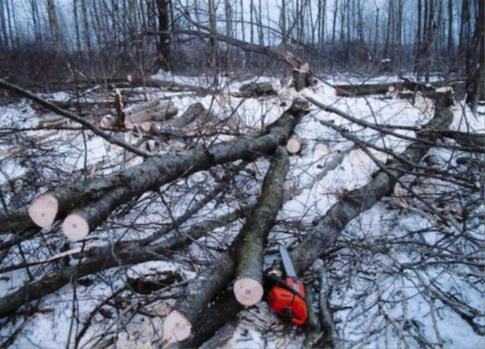 (Employee within 50 feet of another employee felling a group of trees Logging Operations) INVESTIGATION The clear cut operation occurred on a 37-acre private parcel consisting of aspen and hardwood