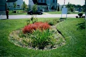 Integrated Management Practices Landscaping Tools Native Groundcover Landscaping Filter Strips