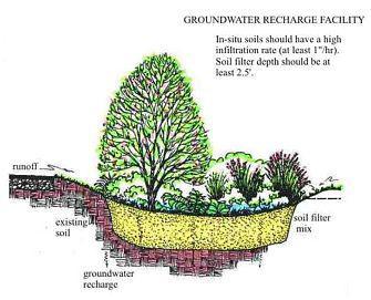Bioretention Structure and Function Bioretention facilities (e.g.