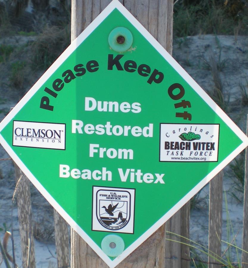 Beach Vitex Task Force Started in 2003 Key Partners Betsy Brabson- SCUTE Chuck