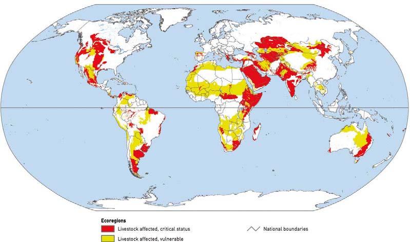 livestock s long shadow Map 28 Ecoregions affected