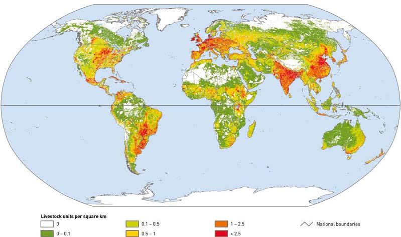 livestock s long shadow Map 20 Estimated aggregated distribution