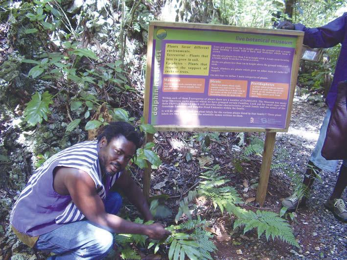 4.3 Participatory forest management in the Caribbean Forest administrators also need to have social skills.