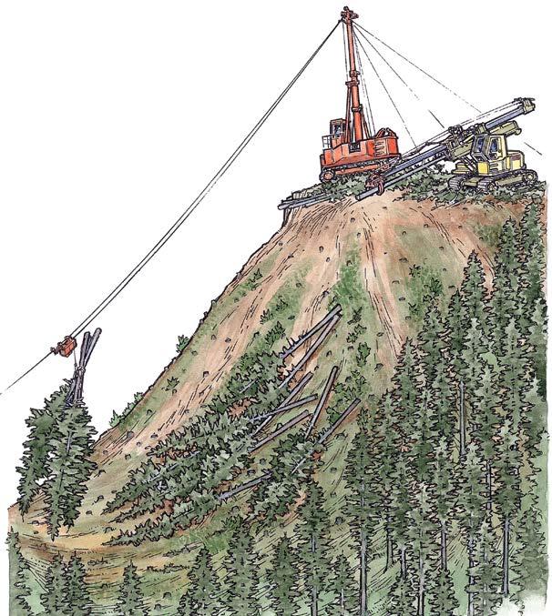 Cable logging Advantages On steep terrain, this system uses a steel cable to carry either whole trees or logs to a landing after trees are felled with chainsaws.