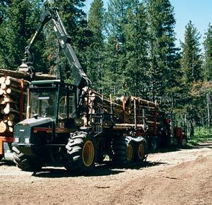 A single grip processor can reach out 30 feet, cut a tree, strip the limbs, cut the stem into pre-programmed lengths and lay the logs on the ground, all in less than a minute.
