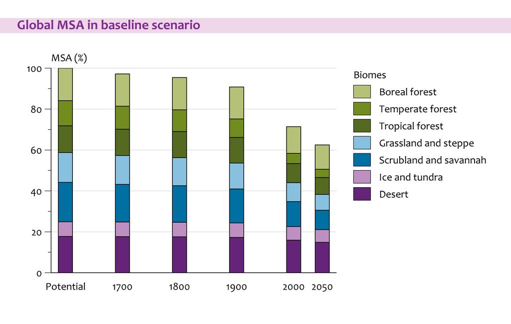 Baseline: 10% loss MSA 2000-2050 Species-rich ecosystems Ben ten Brink SEBI